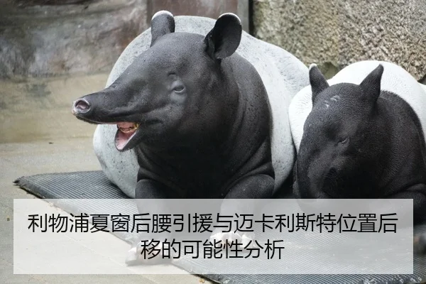 利物浦夏窗后腰引援与迈卡利斯特位置后移的可能性分析