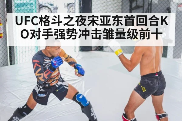 UFC格斗之夜宋亚东首回合KO对手强势冲击雏量级前十